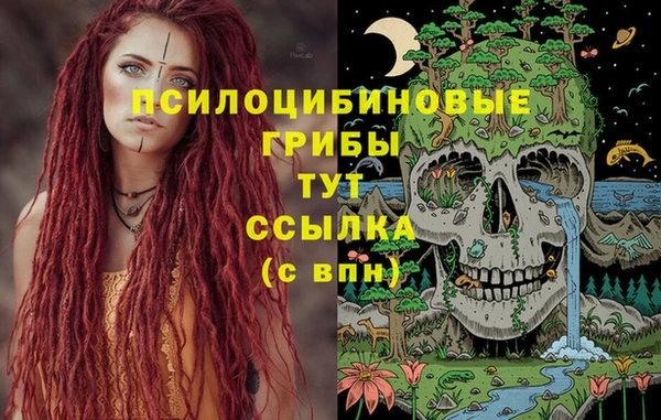спайс Алзамай
