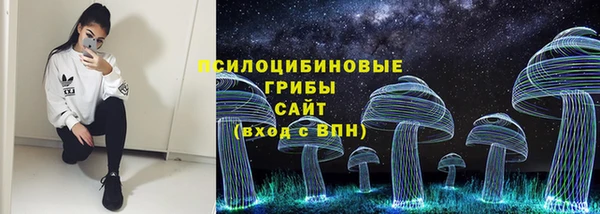 спайс Алзамай