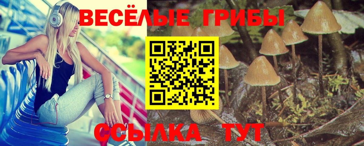 Новозыбков  Галлюциногенные грибы ЛСД  Вход с VPN 