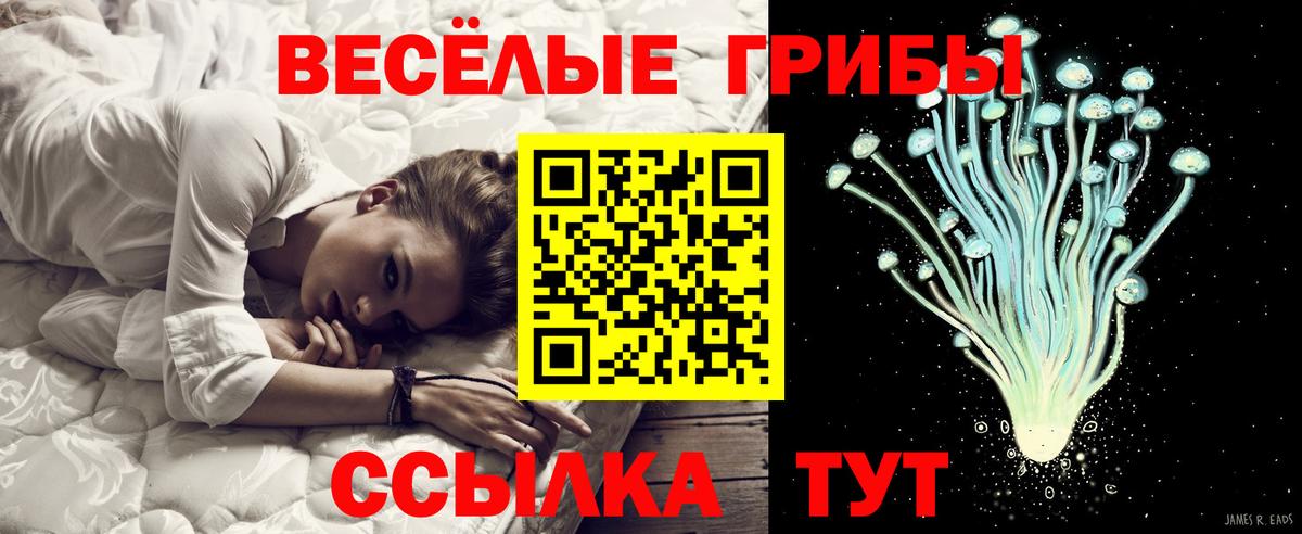 Псилоцибиновые грибы MAGIC MUSHROOMS Новозыбков