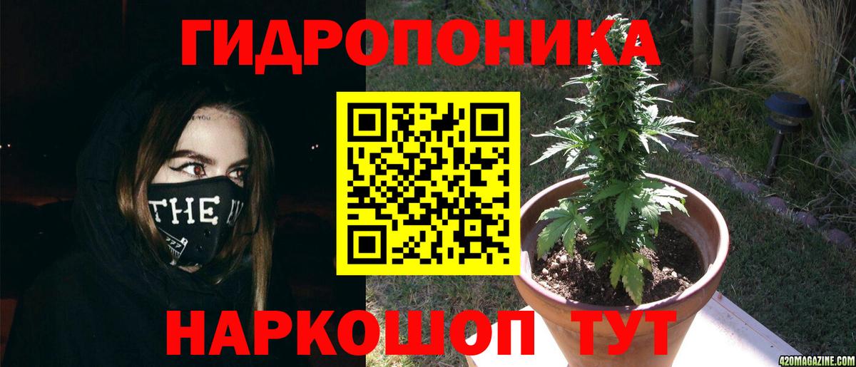 МАРИХУАНА план Новозыбков